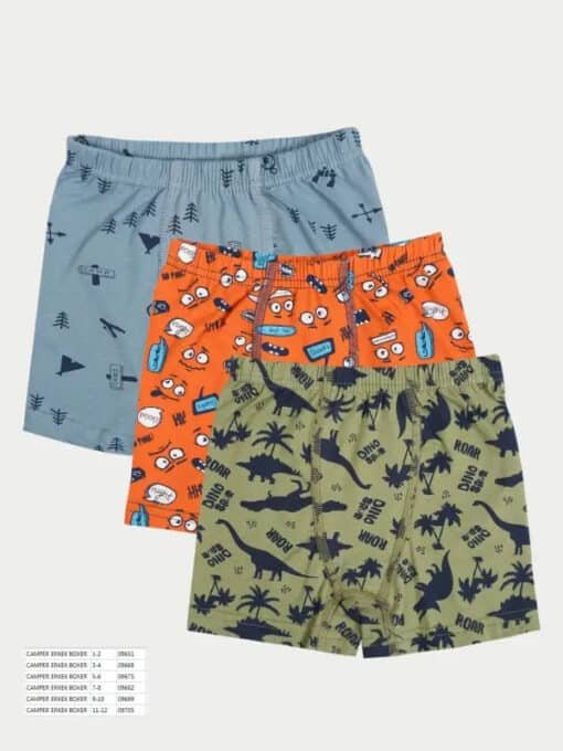 camper-desenli-erkek-cocuk-boxer-1-6-yas-desenli-1-2-giyim-591-5.jpg