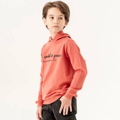 erkek-cocuk-sweatshirt-the-world-is-yours-mavi-2-7-yas-kiremit-347-13.jpg